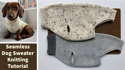How to Choose a Good Dog Sweater: 11 Steps (with Pictures).